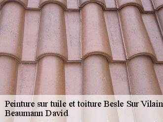 Peinture sur tuile et toiture besle-sur-vilaine-44290 Beaumann David