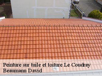 Peinture sur tuile