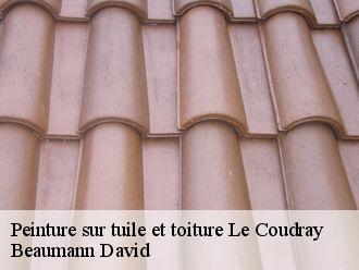 Peinture sur tuile le-coudray-44630