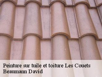 Peinture sur tuile et toiture  les-couets-44340 Beaumann David