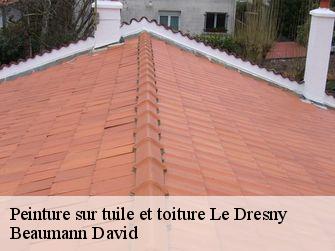 Peinture sur tuile et toiture 44630