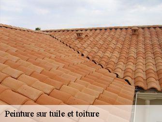 Peinture sur tuile et toiture 44630