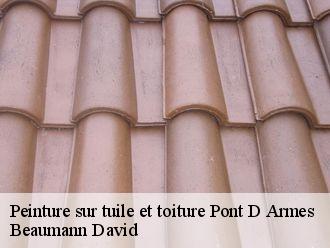 Peinture sur tuile et toiture pont-d-armes-44410 Beaumann David