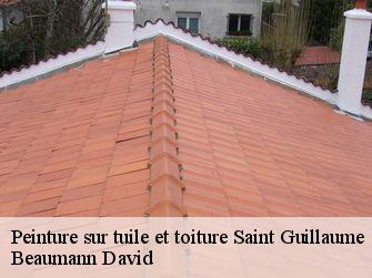 Peinture sur tuile et toiture 44160
