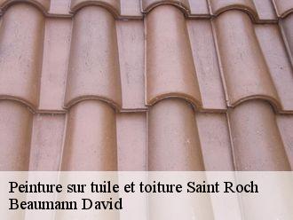 Peinture sur tuile et toiture  saint-roch-44160 Beaumann David