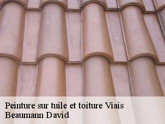 Peinture sur tuile et toiture  viais-44860 Beaumann David