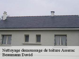 Nettoyage demoussage de toiture 44410