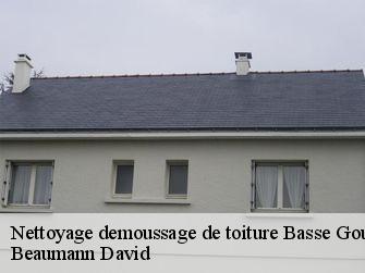 Nettoyage demoussage de toiture 44115