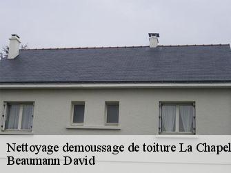 Nettoyage demoussage de toiture 44450