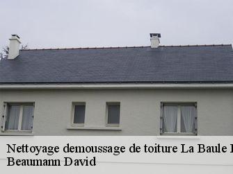 Nettoyage demoussage de toiture 44500