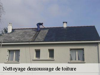 Nettoyage demoussage de toiture