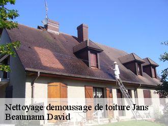 Nettoyage demoussage de toiture jans-44170 Beaumann David