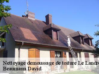 Nettoyage demoussage de toiture le-landreau-44430 Beaumann David