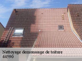 Nettoyage demoussage de toiture