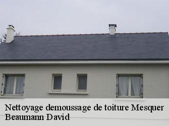 Nettoyage demoussage de toiture 44420