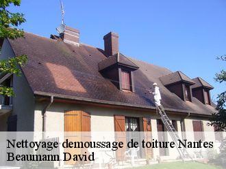 Nettoyage demoussage de toiture  nantes-44000 Beaumann David