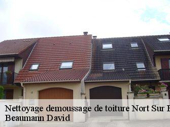 Nettoyage demoussage de toiture