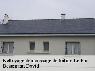 Nettoyage demoussage de toiture 44540