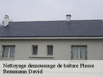 Nettoyage demoussage de toiture 44630