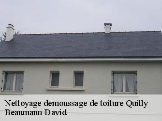 Nettoyage demoussage de toiture 44750
