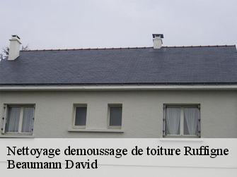 Nettoyage demoussage de toiture 44660