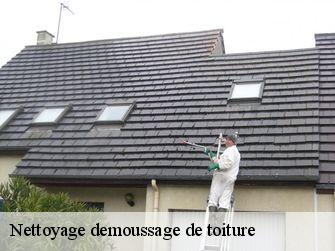 Nettoyage demoussage de toiture