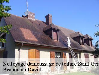 Nettoyage demoussage de toiture  saint-gereon-44150 Beaumann David