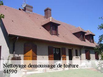 Nettoyage demoussage de toiture 44590