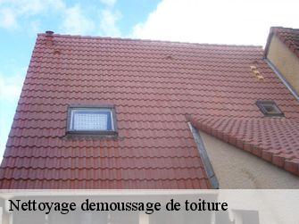 Nettoyage demoussage de toiture 44590