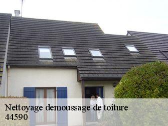 Nettoyage demoussage de toiture 44590