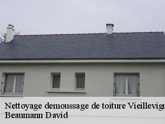Nettoyage demoussage de toiture 44116
