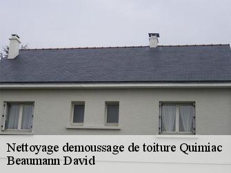 Nettoyage demoussage de toiture 44420