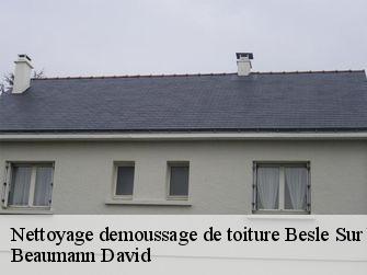 Nettoyage demoussage de toiture 44290