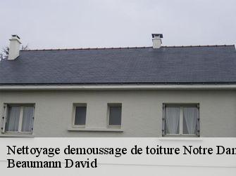 Nettoyage demoussage de toiture 44440