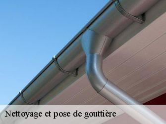 Nettoyage et pose de gouttière