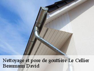 Nettoyage et pose de gouttière  le-cellier-44850 Beaumann David