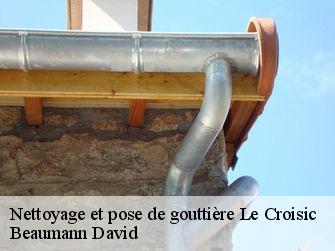 Nettoyage et pose de gouttière 44490