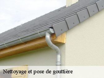 Nettoyage et pose de gouttière 44290