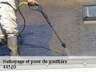 Nettoyage et pose de gouttière 44520
