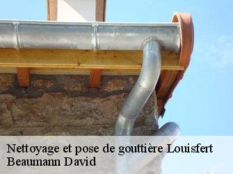 Nettoyage et pose de gouttière 44110