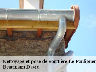 Nettoyage et pose de gouttière 44510