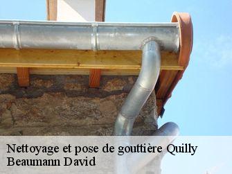 Nettoyage et pose de gouttière 44750