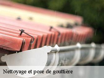 Nettoyage et pose de gouttière