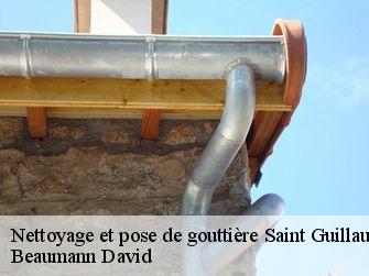 Nettoyage et pose de gouttière 44160