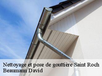 Nettoyage et pose de gouttière  saint-roch-44160 Beaumann David