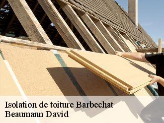 Isolation de toiture  barbechat-44450 Beaumann David