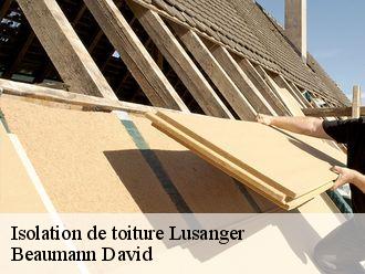 Isolation de toiture lusanger-44590 Beaumann David