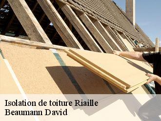 Isolation de toiture  riaille-44440 Beaumann David