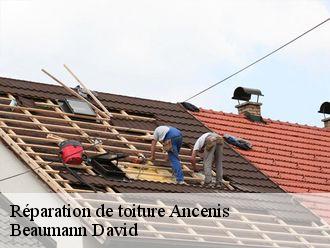 Réparation de toiture  ancenis-44150 Beaumann David