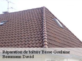 Réparation de toiture 44115